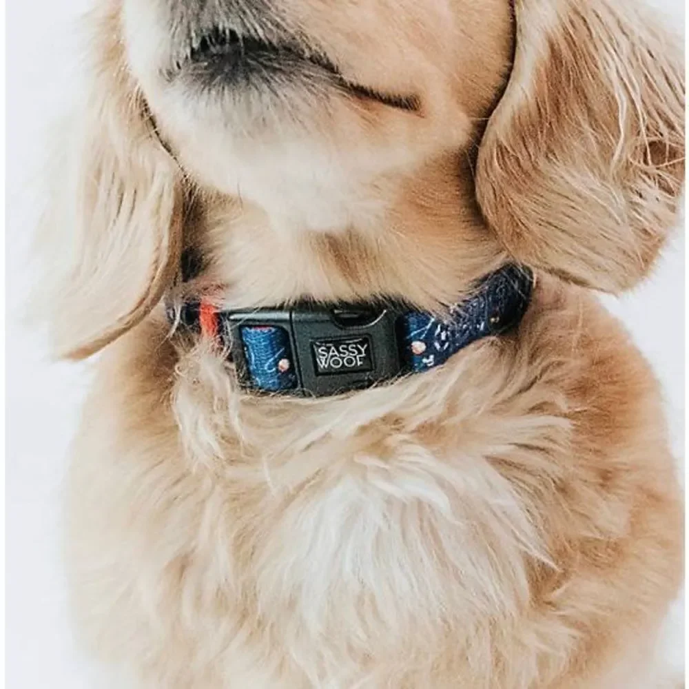 Disney Mickey Mouse Pet Collar